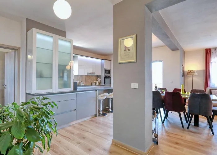 Zanic Apartament