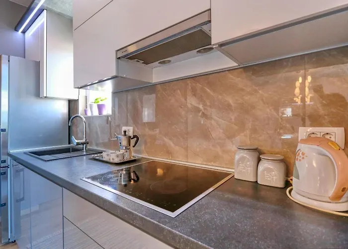 Apartament Zanic *